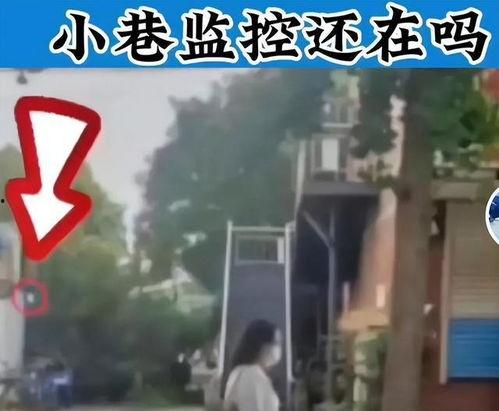 唐山本地人爆料视频最新,最新视频揭露惊人真相