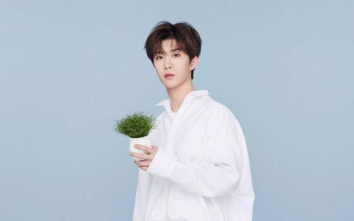 范丞丞最新八卦爆料视频,幕后真相与情感纠葛大起底