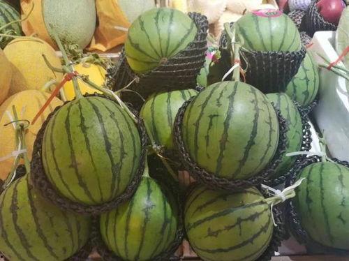 糖人可以吃瓜了吗,甜蜜瓜果自由享