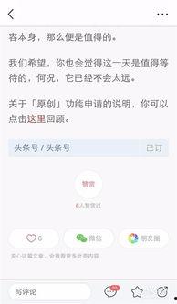 头条号怎么设计赞赏,头条号文章副标题设计指南