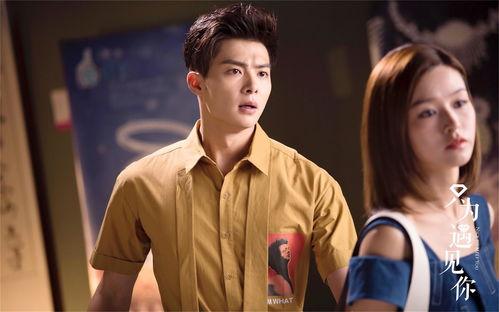 只为遇见你明星表,明星阵容大揭秘