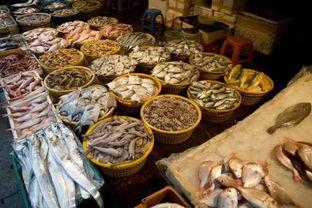 洛阳头条海鲜市场在哪,探寻城市中的海洋风情