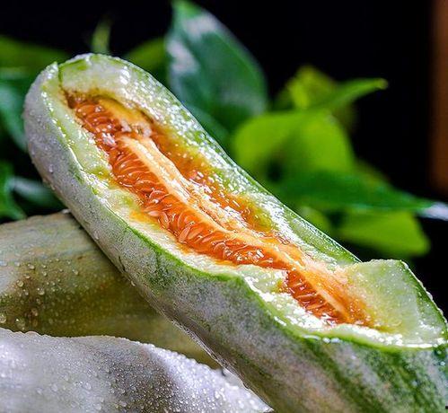 吃瓜思念种瓜人,从吃瓜到种瓜的人生感悟