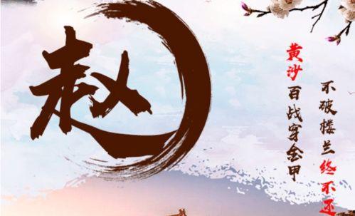 赵姓男明星名字,星光熠熠，魅力无限