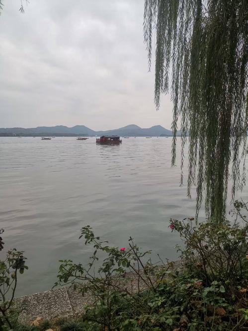 今日头条西湖美景图画,诗意盎然的江南水乡美景掠影”