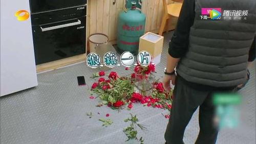 偷懒吃瓜,轻松享受休闲时光的秘诀