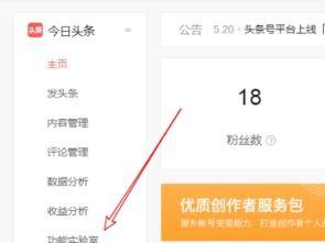 头条小店手机怎么查看,轻松查看文章副标题生成技巧n2. 手机头条小店：如何快速设置文章副标题概述n3. 头条小店手机端：副标题概述设置指南n4. 一招掌握！头条小店手机版文章副标题生成方法n5. 手机头条小店操作攻略：轻松设置文章副标题概述